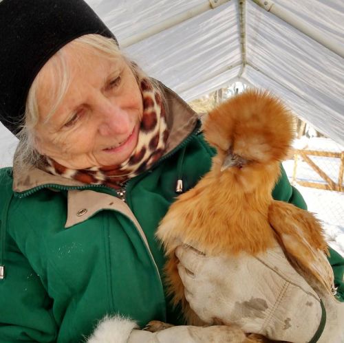 South Frontenac resident Frances Broome with her Silkie chicken named Marmalade.
